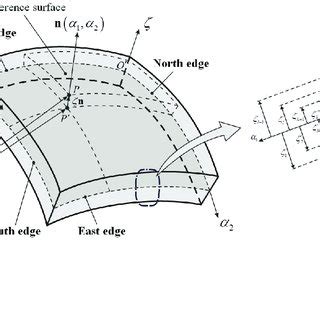 Image result for Normal Shell Edge Traction