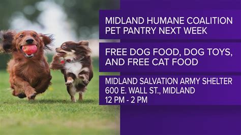 Midland Humane Society hosting pet pantry on Valentine's Day ...