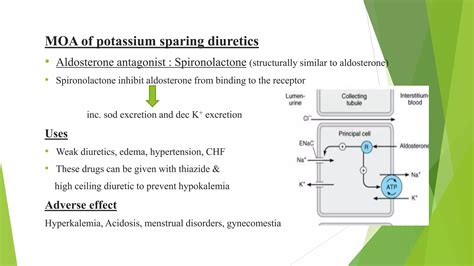 Diuretics | PPTX