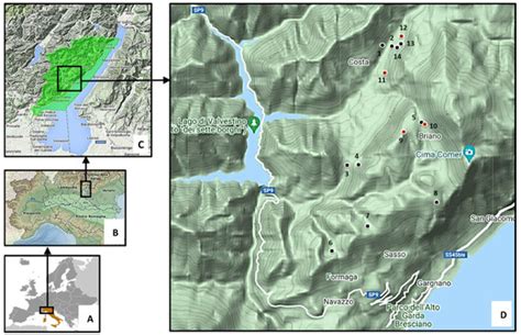 Mycobacterium microti at the Environment and Wildlife Interface