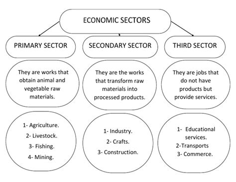 Sector 的图像结果