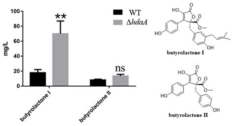 Induction of Secondary Metabolite Biosynthesis by Deleting the Histone ...