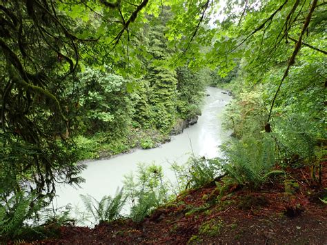 Day Hike - Lime Kiln Trail — The Mountaineers