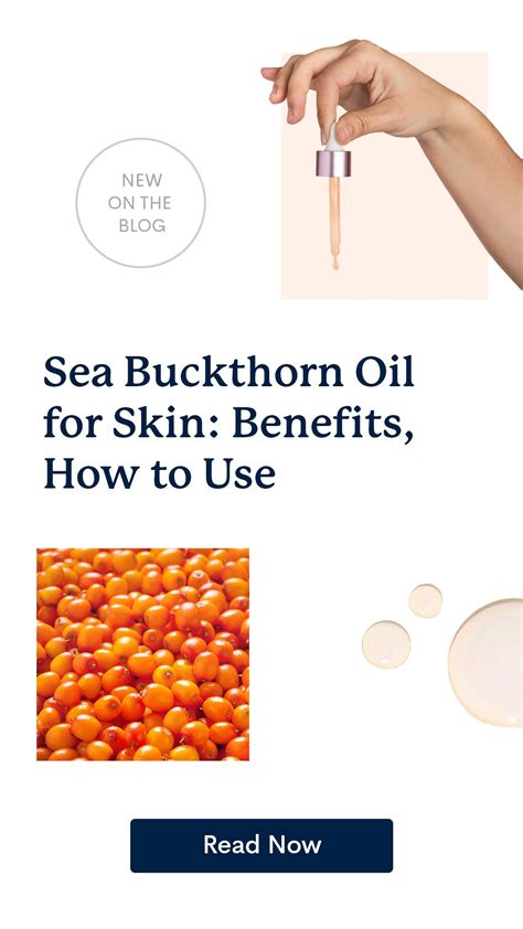 Sea Buckthorn Oil Face Benefits at Nadine Boeding blog