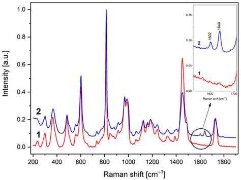 A Spiropyran-Doped Poly(methyl methacrylate) Matrix for Sensor Applications