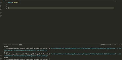 Image result for Python VSC