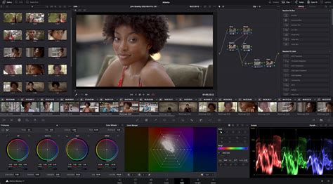 Avid to davinci resolve plugin - terbill