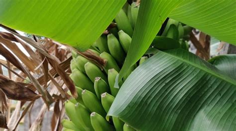 THE VIEWS OÁSIS (Canico, Madeira) - Hotel Reviews, Photos, Rate ...