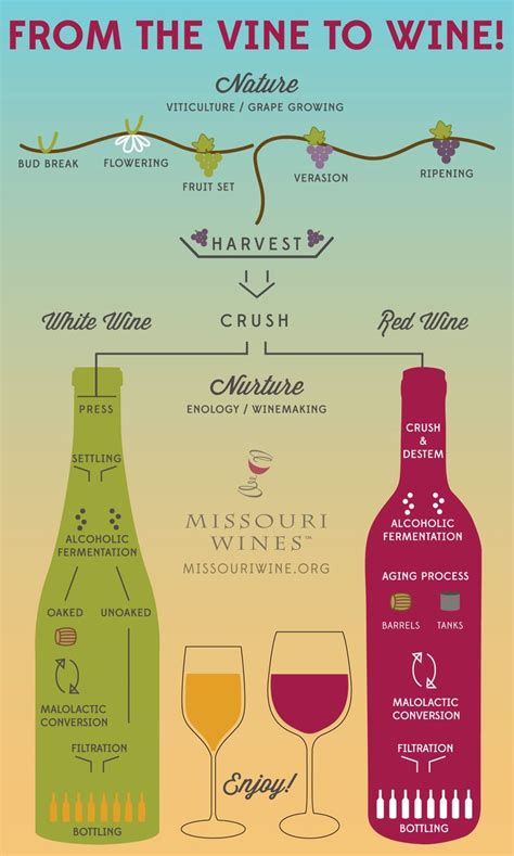 Image result for Different Types of White Wine