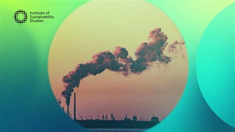 What does zero carbon mean? | Whole Life Carbon