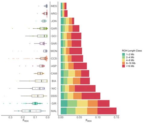 Phenotypic and Genomic Characterization of the Comune di Sicilia Goat ...