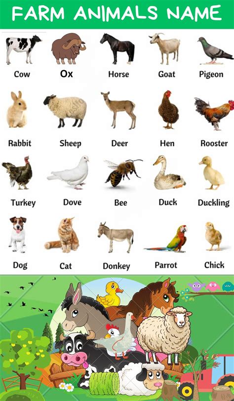 Comprehensive List of Over 100 Farm Animal Names in English with Images ...