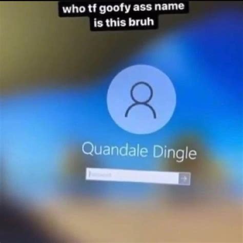 Who tf goofy ass name is this bruh | Quandale Dingle | Know Your Meme
