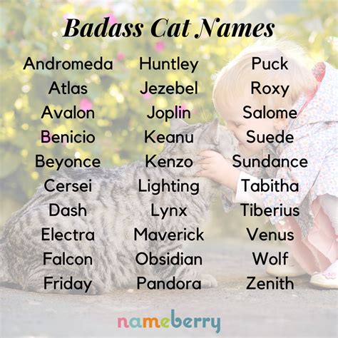 Badass Names For Girl Cats at Christopher Carr-boyd blog
