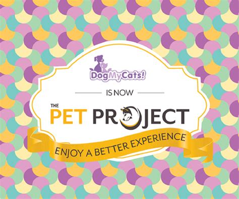 pet-project-india