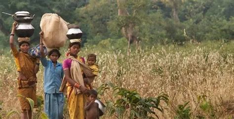 Explained: What Is Mahua And Why It Is A Significant Part Of The Tribal ...