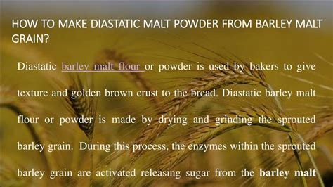 PPT - How to make diastatic malt powder from barley malt grain ...