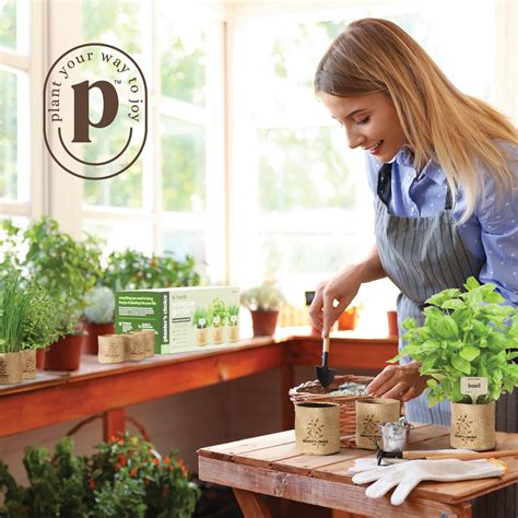 Top 5 Indoor Herb Garden Kits for Year-Round Growing
