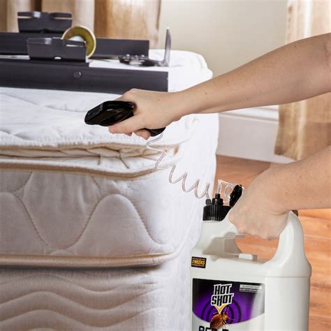 Hot Shot 1-Gallon Kills Eggs by Contact Bed Bug Killer Trigger Spray HG ...