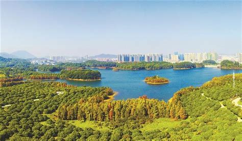 坪山着力打造山水城林共融的森林城市_深圳新闻网