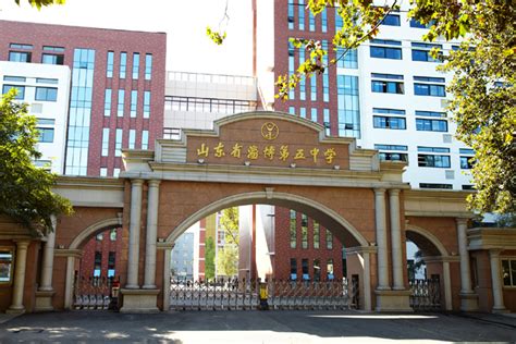 淄博市十大教育培训机构排名 淄博和平学校上榜第五针对性_排行榜123网