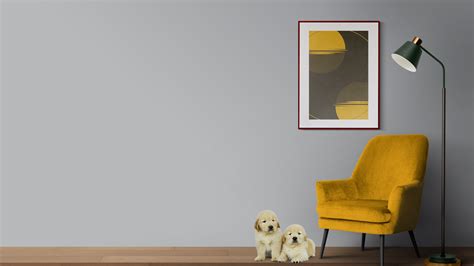 Evolve Color Paint & Primer