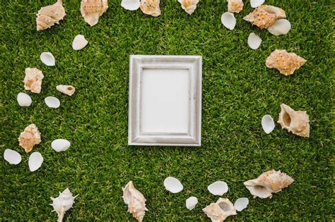 Seashells und Rahmen auf grünem Gras Hintergrund | Kostenlose Foto