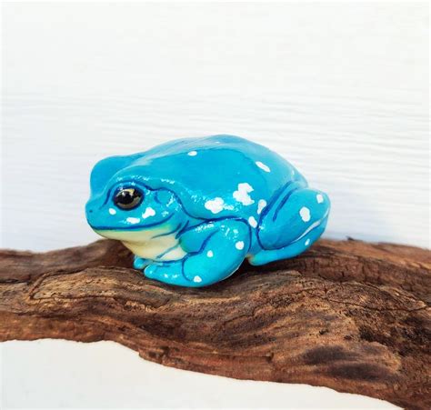 Snowflake Dumpy Tree Frog 的图像结果