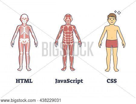 Image result for Coding JavaScript Human