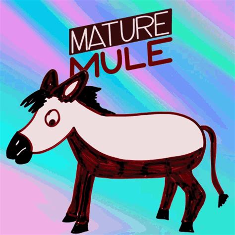 Image result for Python Program for Prime Num Using Range