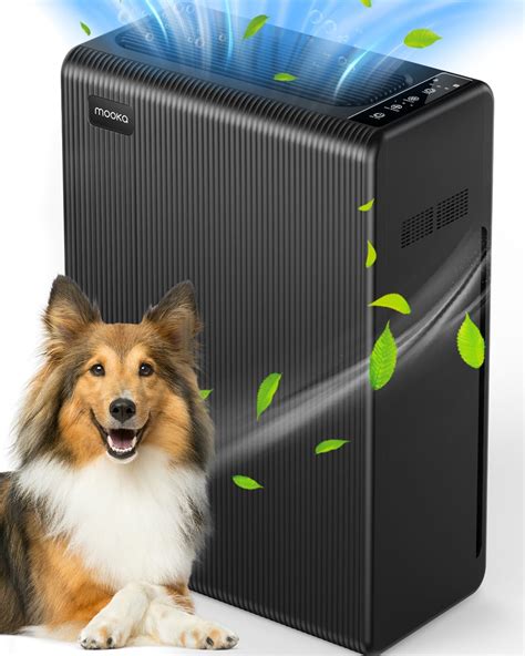 Amazon.com: BLUEAIR Air Purifiers for Small Rooms, Bedroom, Home ...