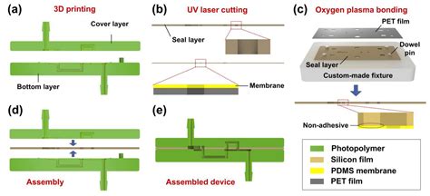 Microfluidic Passive Flow Regulatory Device with an Integrated Check ...