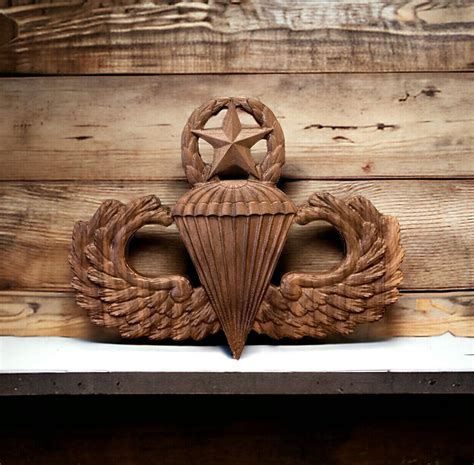 Army Badge Collection 的图像结果