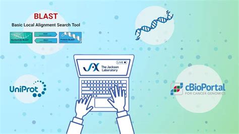 Image result for Stephane Database Tutorials