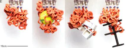 Robots Struggle To Hold Things, So Scientists Built A Creepy Tentacle ...