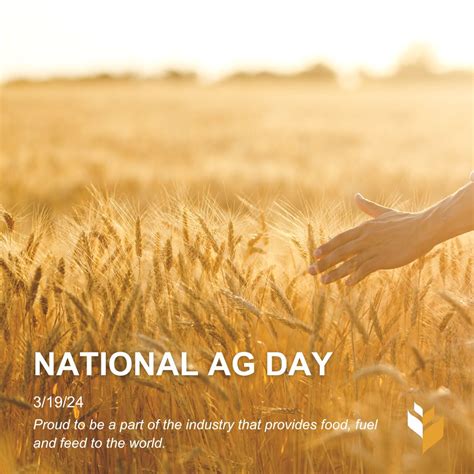 Amber Wave on LinkedIn: As we celebrate National Ag Day, let's take a ...
