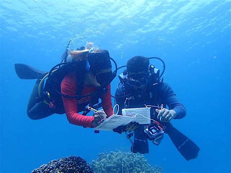 Why We Must Care for Our Seas – World Ocean Day 2025