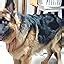 Buy Beaphar Top-10 Dog Supplement, 160 Tablets Online at Low Prices in ...