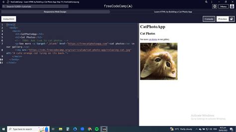 Image result for Freecodecamp 12 HTML Guide