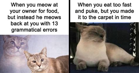 Image result for Writing Program Code On Paper Meme
