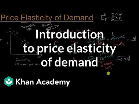 Price: The Significance of Price Elasticity of Demand Video Lecture ...