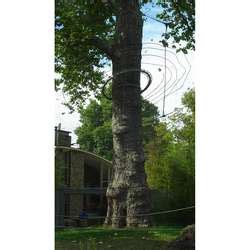 ZooLex Exhibit - Valley of the Apes - Gorillas