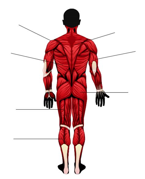 Back 的图像结果