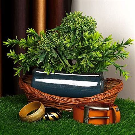 Justoriginals Blue Rectangular Ceramic Flower Pot for Bonsai (Length ...