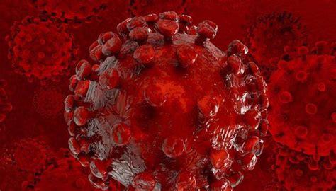 AIDS virus originated in 1908 in south-east Cameroon | Health News ...