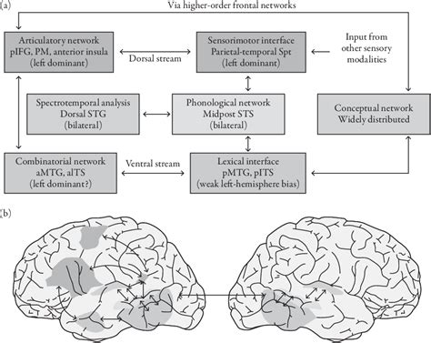 Image result for Aphasie Recovery
