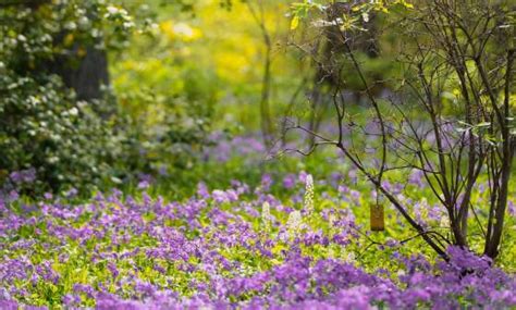 Delaware's Spring Must-Do's | Visit Delaware