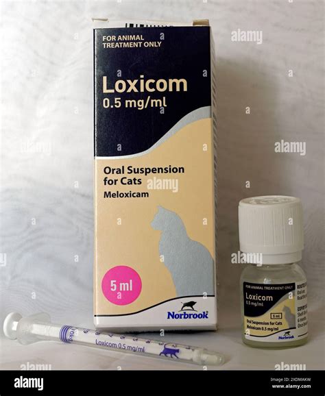 Can Cats Take Meloxicam