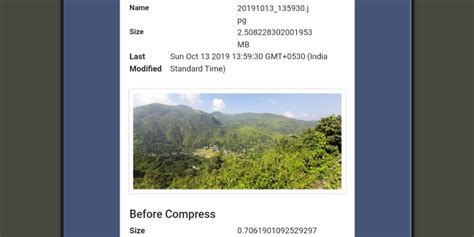 Image result for API Compressor Plugin Demo