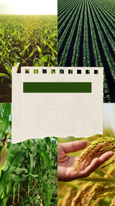 Farming Science 的图像结果